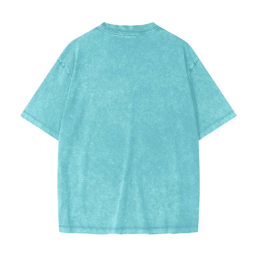 Heavyweight Snow Washed Tee